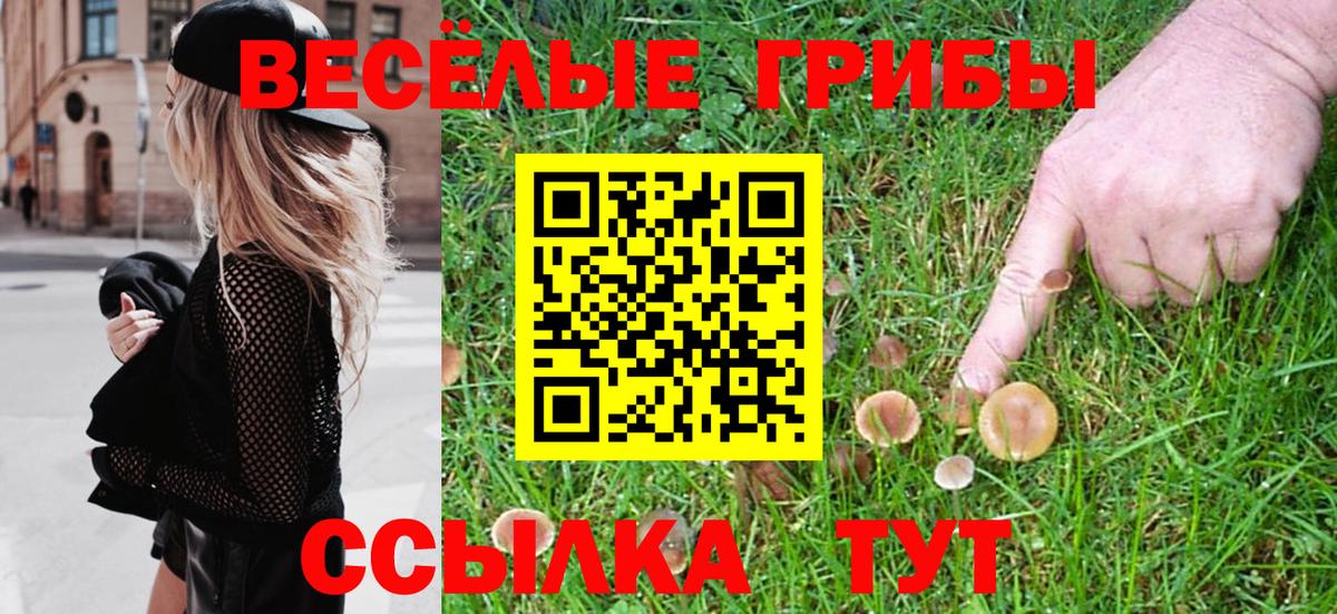 Псилоцибиновые грибы ЛСД  Вход с VPN  Алексин 
